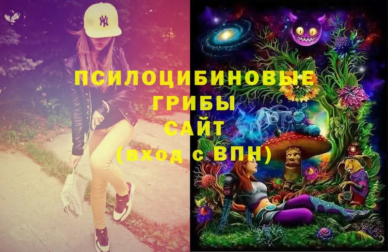 Псилоцибиновые грибы Magic Shrooms  Магадан 